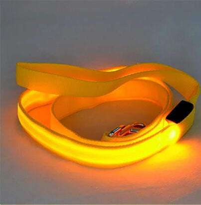 LED Hundeleine wiederaufladbar von Pfoten-Boutique - ideal für nächtliche Spaziergänge mit Haustieren.