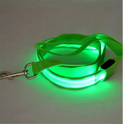 LED Hundeleine wiederaufladbar - perfekte Lösung für Abenteuer im Freien und ruhige Nachbarschaftsspaziergänge.