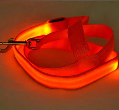 LED Hundeleine wiederaufladbar - stylisch und funktional für Hundefreunde, die ihren Hund sichtbar halten wollen.