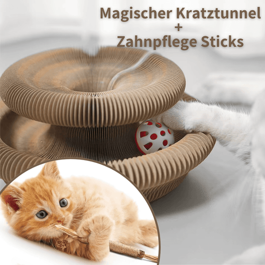KATZEN GLÜCK SET - für die rundum glückliche Katze: Kratztunnel & Zahnpflege für die Katze in ansprechendem Design.