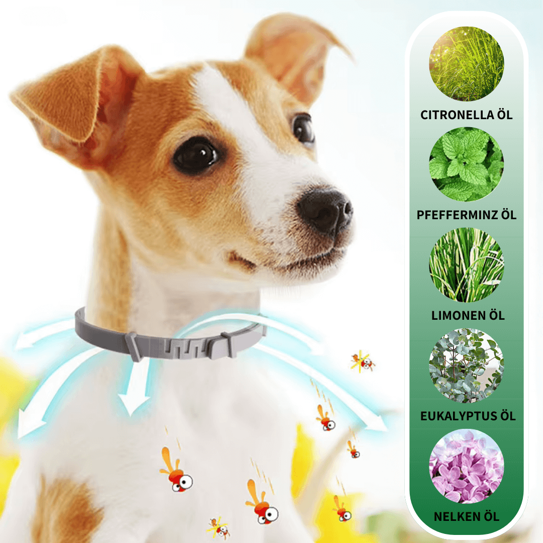 ZECKEN STOPP - Langzeitwirkung bis zu 8 Monate für umfassenden Schutz.