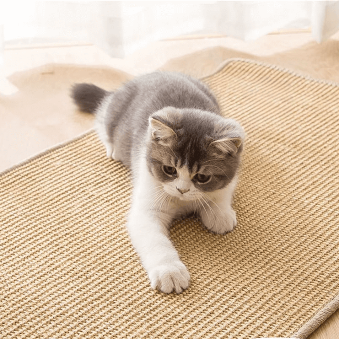 KRATZ SCHUTZ - Die perfekte Kratzmatte für Katzen, die Möbel schützt und gleichzeitig den Kratzspaß fördert.
