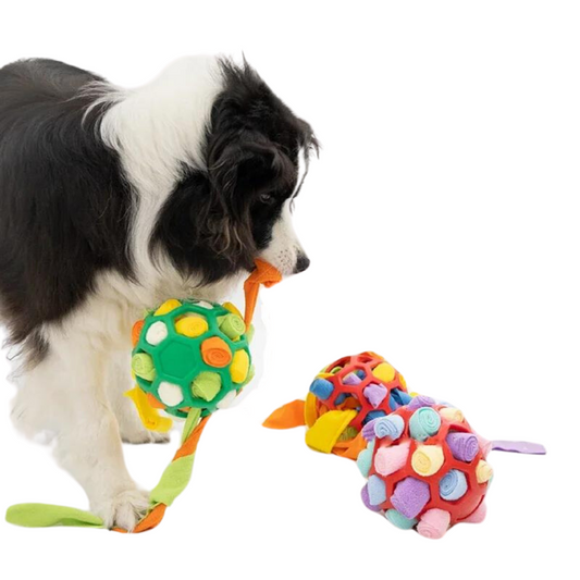 SCHNÜFFEL TRAINER - Das interaktive Spielzeug, das Deinen Hund begeistert, zeigt einen Hund, der spielerisch Leckerlis im Schnüffelball sucht.