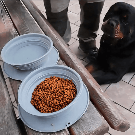 PFOTEN NAPF TO GO - Der Hunde Futternapf für unterwegs mit gefülltem Napf neben zwei faltbaren Näpfen.