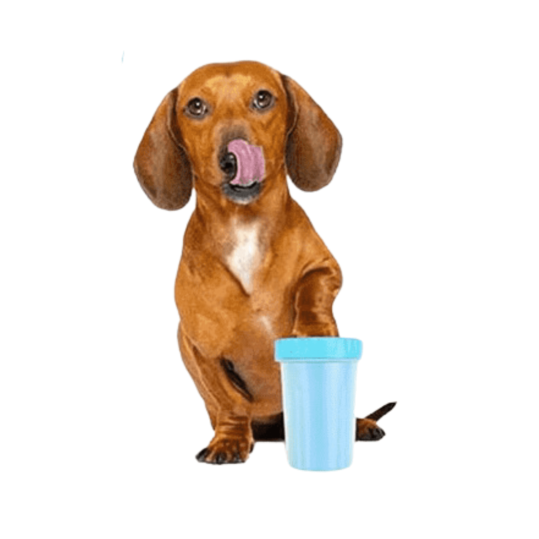 Kompakte und tragbare Lösung für die Pfotenreinigung mit Pfoten Zauber