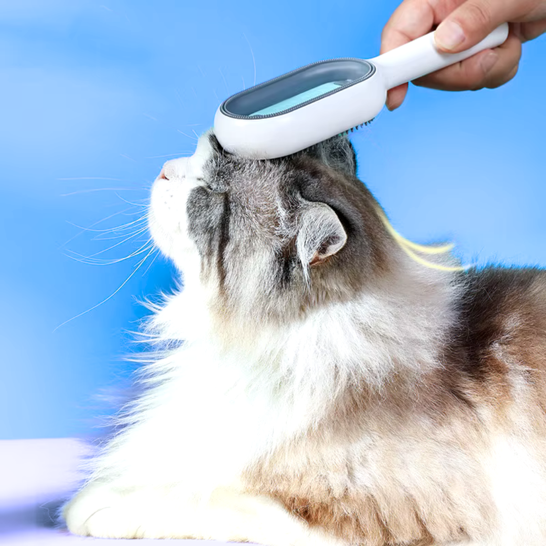 Haare unter Kontrolle mit SamtFell Bürsten für Pflege ohne fliegende Haare – Die perfekte Lösung für Hunde & Katzen Pflege.