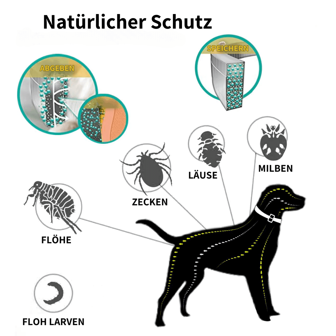 ZECKEN STOPP - Vorteil der natürlichen Inhaltsstoffe für den Schutz deines Hundes.