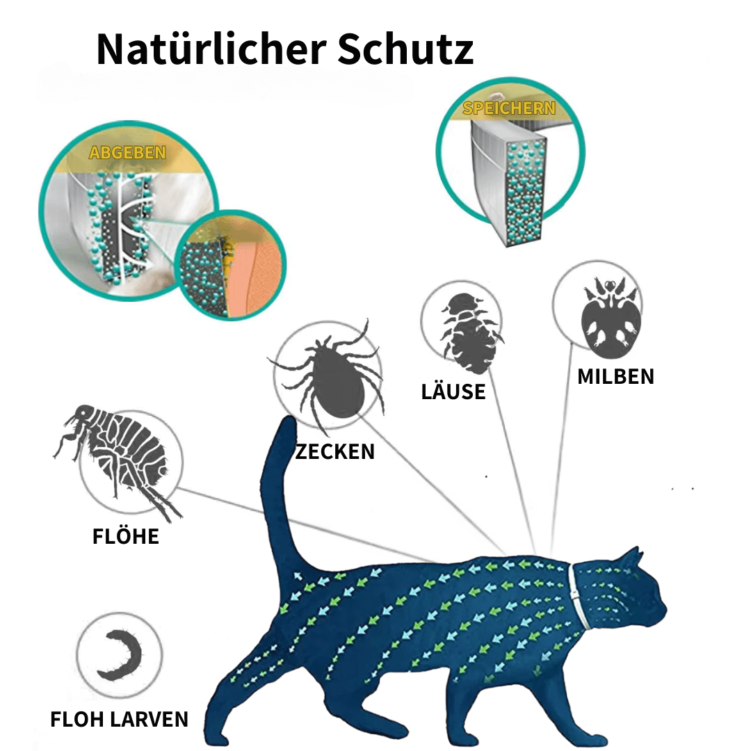 ZECKEN STOPP - Dauerhaft natürlicher Schutz für Deine Katze
