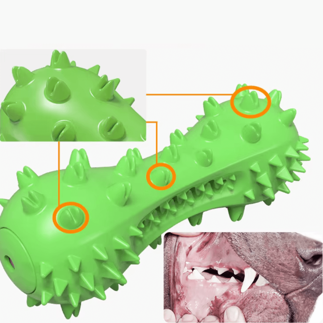 DENTAL KAUKNOCHEN Hunde - Nahaufnahme eines grünen Kauknochens mit Stacheln zur Zahnpflege für Hunde.