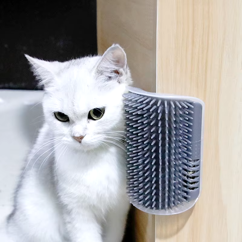 Weiße Katze entdeckt die FELLZAUBER Katzenbürste, um selbstständig ihre Fellpflege für Katzen zu erledigen.