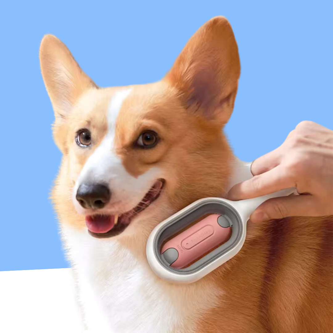 Sanfte Pflege für Dein Haustier mit SamtFell Bürsten für Pflege ohne fliegende Haare – Ideal für Hunde & Katzen Pflege.