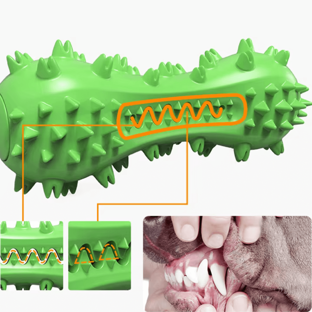 DENTAL KAUKNOCHEN Hunde - Detailaufnahme eines grünen Kauknochens, der Zahnbelag bei Hunden entfernen kann.