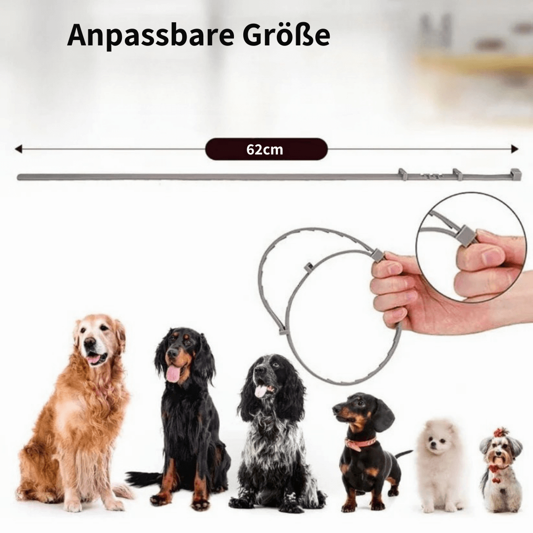 ZECKEN STOPP - Kosteneffizienter Zeckenschutz für alle Hunde-Rassen.