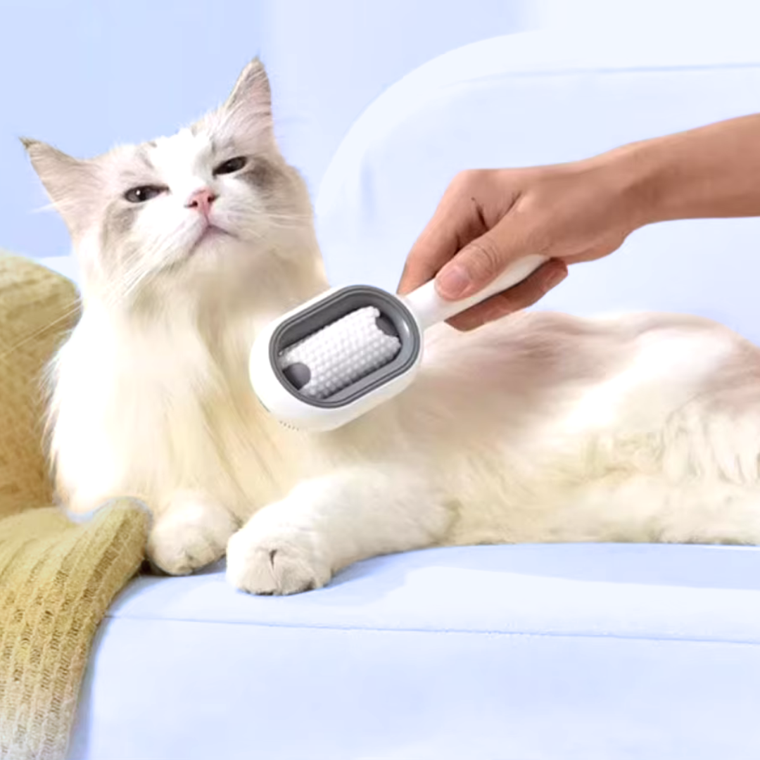 Anleitung zum Öffnen des Wasserreservoirs von SamtFell Bürsten für Pflege ohne fliegende Haare – Einfache Anwendung für Hunde & Katzen Pflege.