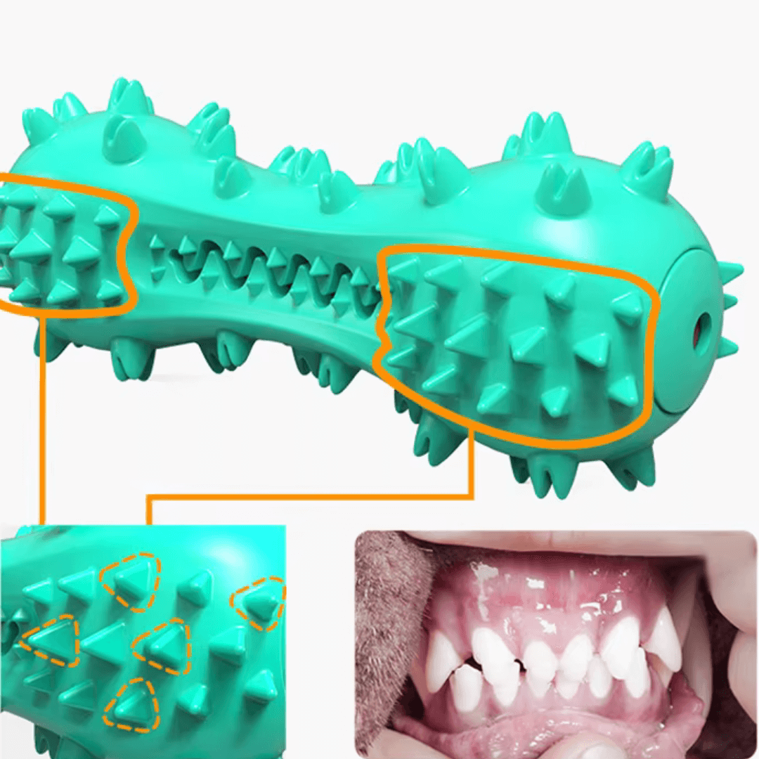 DENTAL KAUKNOCHEN Hunde - Grüner Kauknochen mit Stacheln, ideal zur Mundpflege deines Hundes.