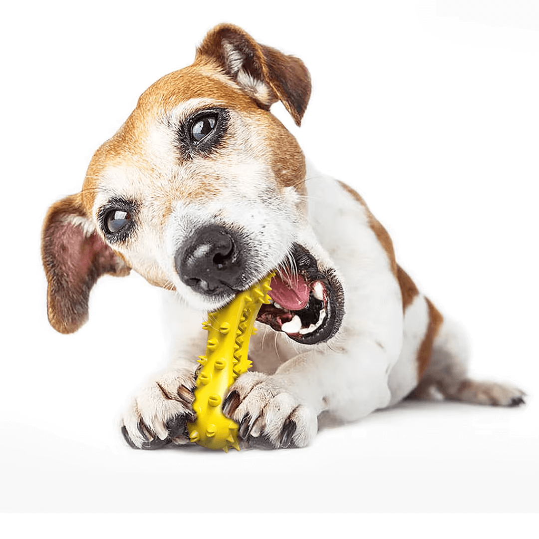 DENTAL KAUKNOCHEN Hunde - Hund nagt an einem gelben Kauknochen, der Zahnpflege spielerisch unterstützt.