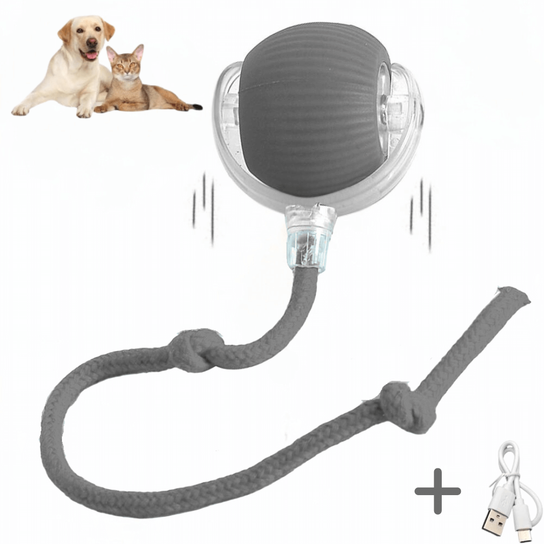 Pfoten FIT - Spaß und Fitness auch wenn Du nicht da bist: interaktiver Spielball für die Katze mit drei Spielmodi.