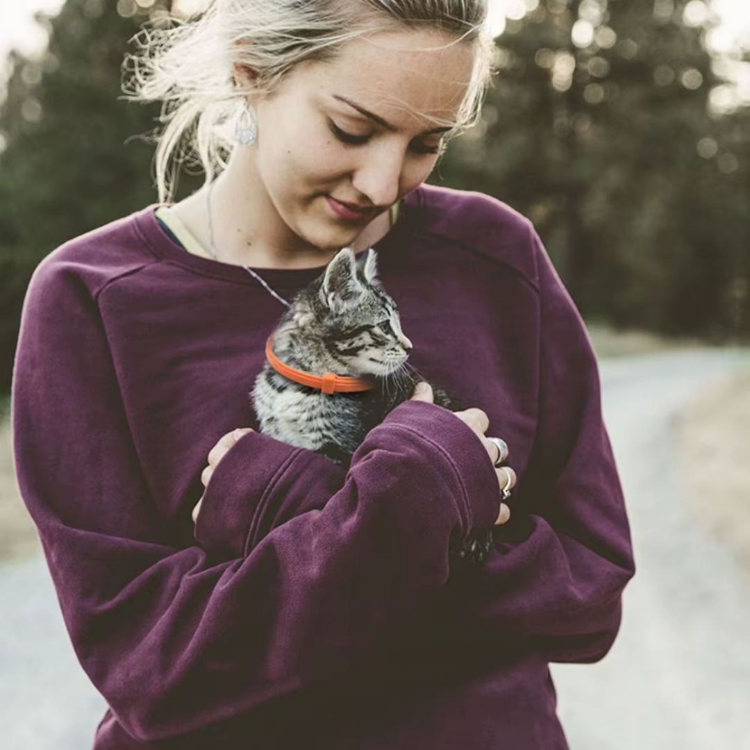 ZECKEN STOPP - Dauerhaft natürlicher Schutz für Deine Katze