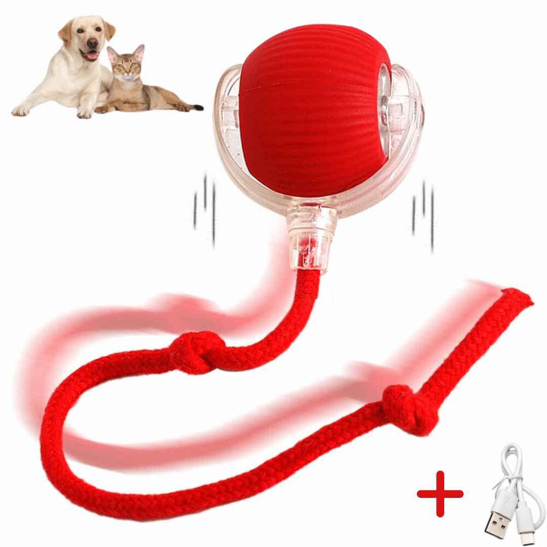 Pfoten FIT - Spaß und Fitness auch wenn Du nicht da bist: langlebiger Spielball für die Katze mit einfacher Reinigung.