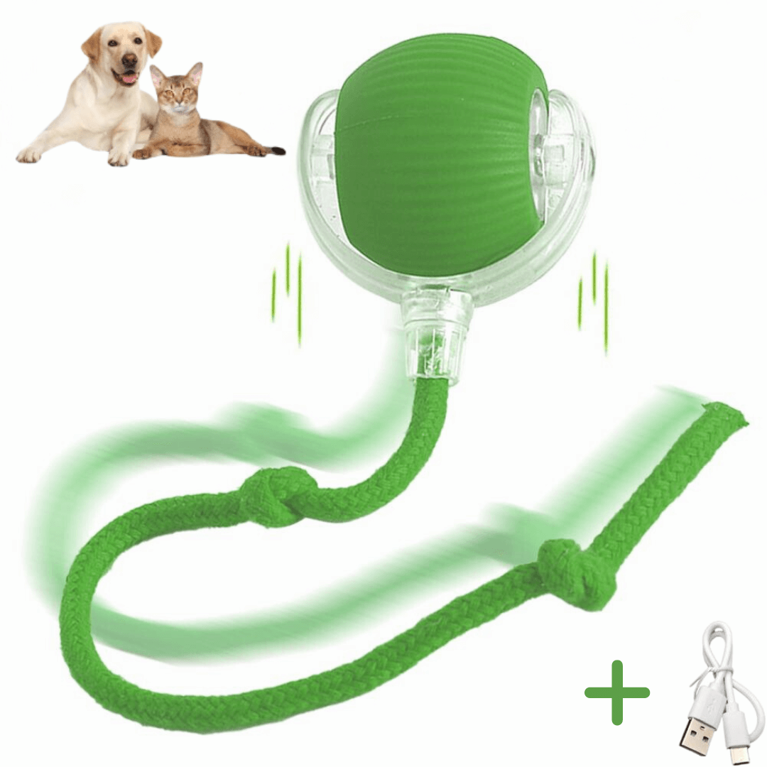 Pfoten FIT - Spaß und Fitness auch wenn Du nicht da bist: sicherer und ungiftiger Spielball für die Katze für ununterbrochenen Spielspaß.