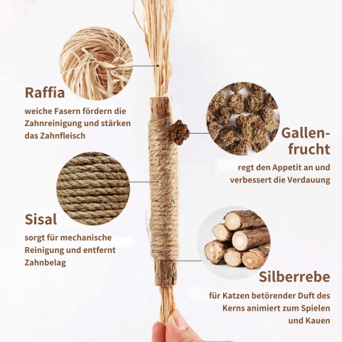 KATZEN GLÜCK SET - für die rundum glückliche Katze: Spaß und Gesundheit vereint in Kratztunnel & Zahnpflege für die Katze.