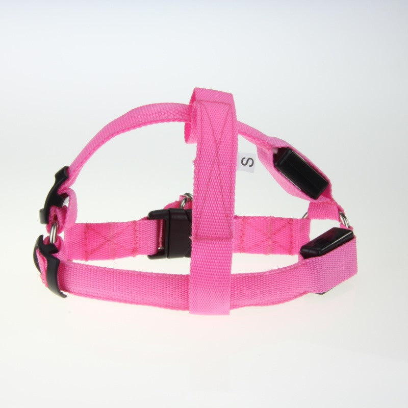 Stylisches und sicheres USB wiederaufladbares LED Hundegeschirr für den modebewussten Hund