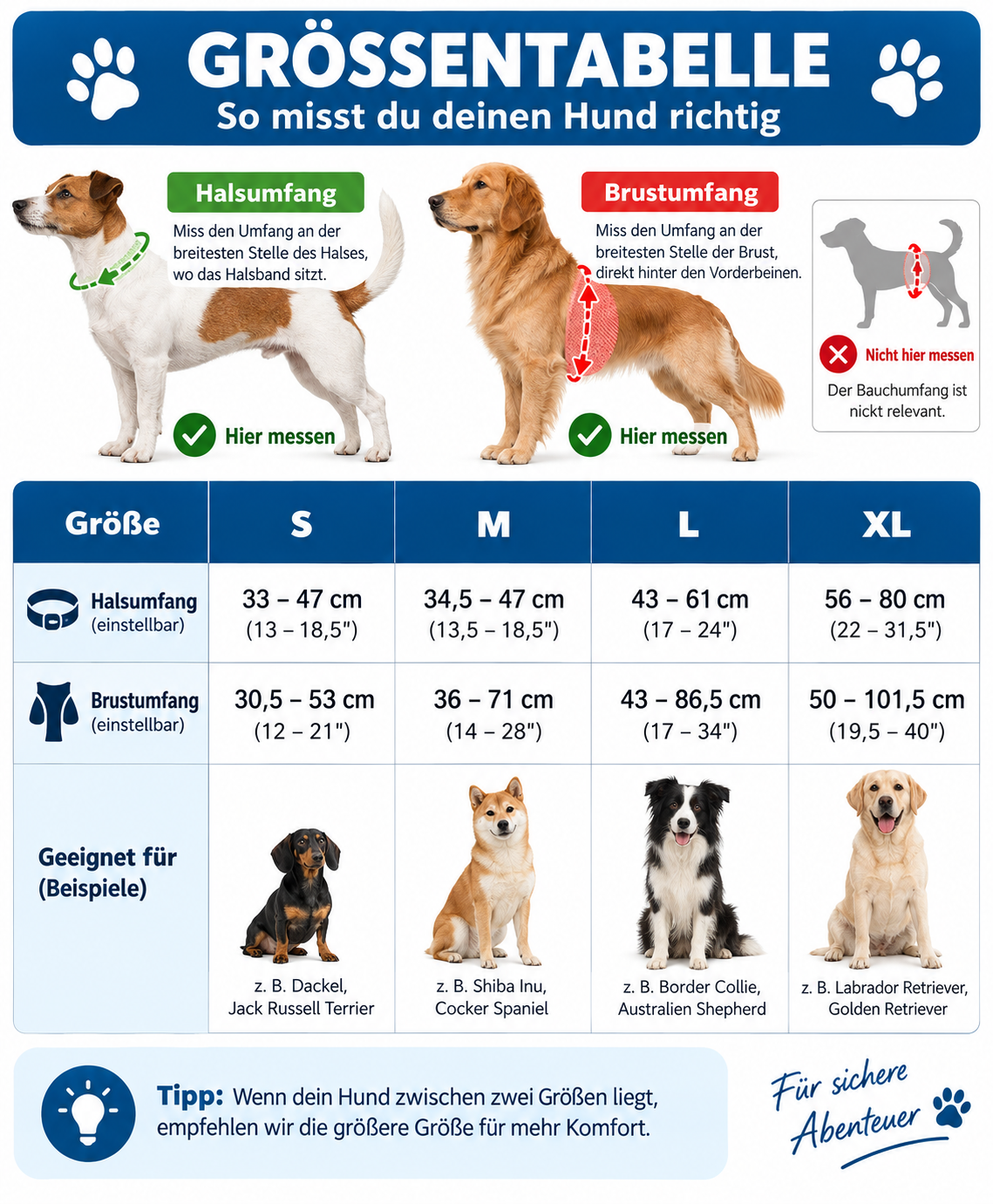leuchtendes Hundegeschirr - aufladbar - Dein Hund immer Blick