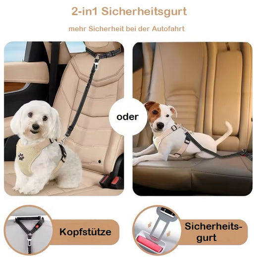 2-in-1 Sicherungsleine fürs Auto für Hunde - Sicherungsleine Auto Hund mit elastischer Konstruktion für mehr Komfort und Sicherheit.