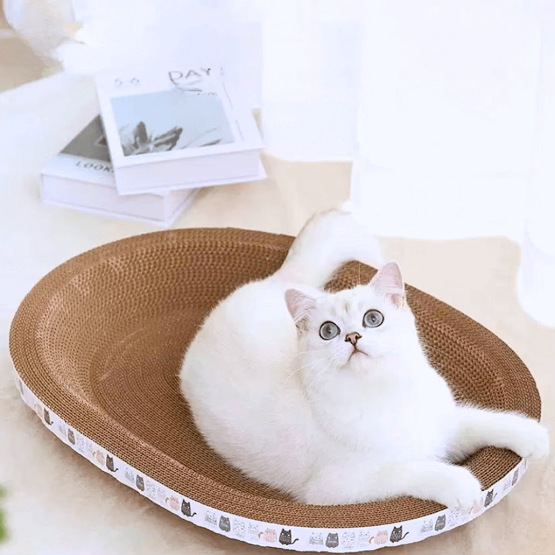 Ergonomisch geformtes Kratz Nest oder Schlafplatz für Katzen - perfektes Katzen Schlafplatz Kratznest.