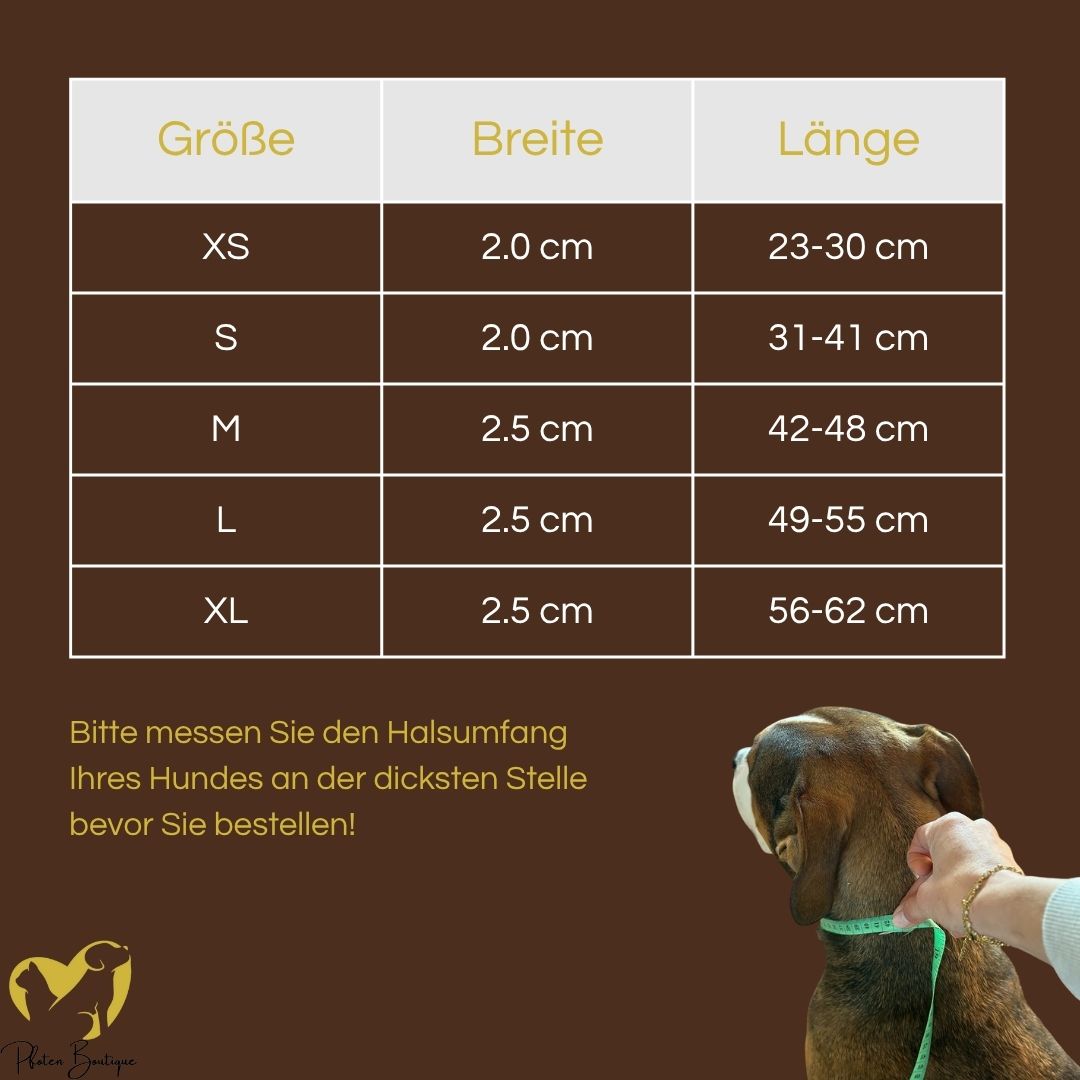 Vielseitig einsetzbares Hundehalsband personalisiert mit robusten Materialien für aktive Abenteuer.