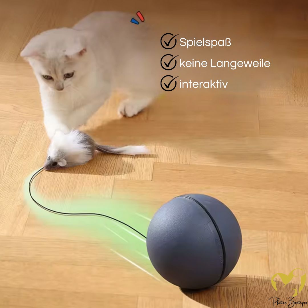 MAUSBALL - Intelligentes Katzenspielzeug fr aktive Katzen  Pfoten-Boutique