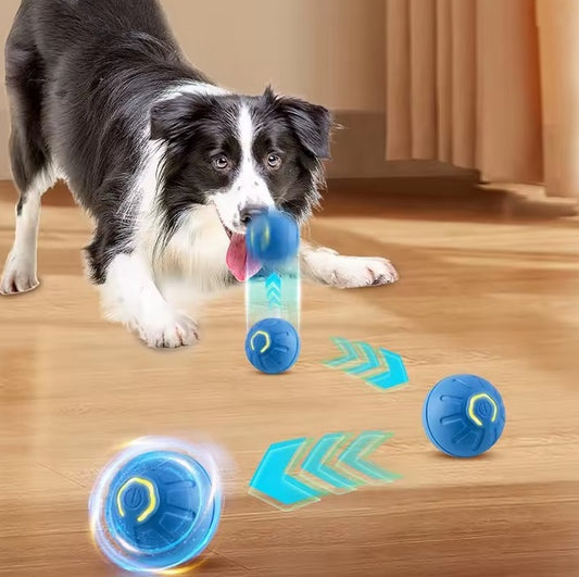 Interaktives Hundespielzeug – Rolliball Spielball beim Aufladen für stundenlangen Spielspaß.