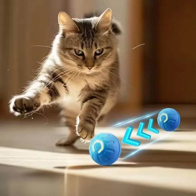 Ein Blick auf den aktiven Rolliball Katzenspielzeug Spielball, ideal für die Beschäftigung deiner Katze.