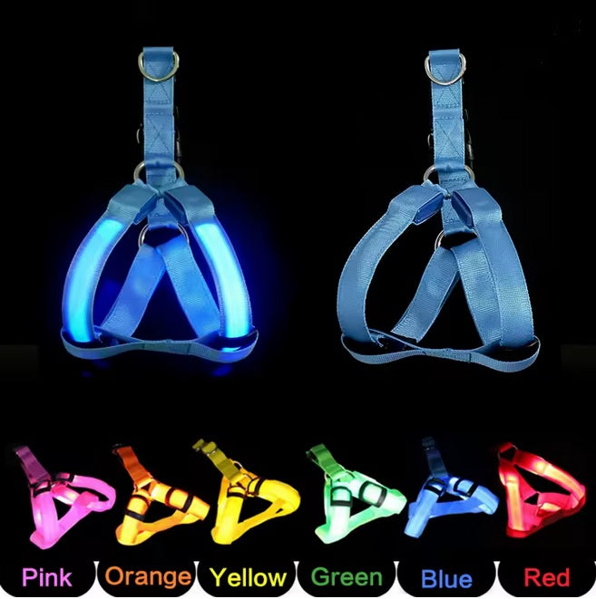 Helle LED-Leuchten des USB wiederaufladbaren LED Hundegeschirrs für optimale Sichtbarkeit beim Abendspaziergang