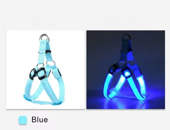 USB wiederaufladbares LED Hundegeschirr, das für nächtliche Spaziergänge gemacht ist, mit leuchtendem LED-Licht