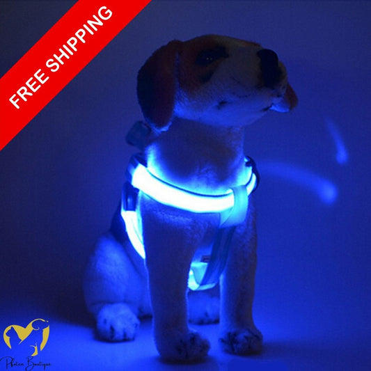 USB wiederaufladbares LED Hundegeschirr - stilvolles und sicheres Hundegeschirr für abendliche Spaziergänge mit LED-Lichtern.