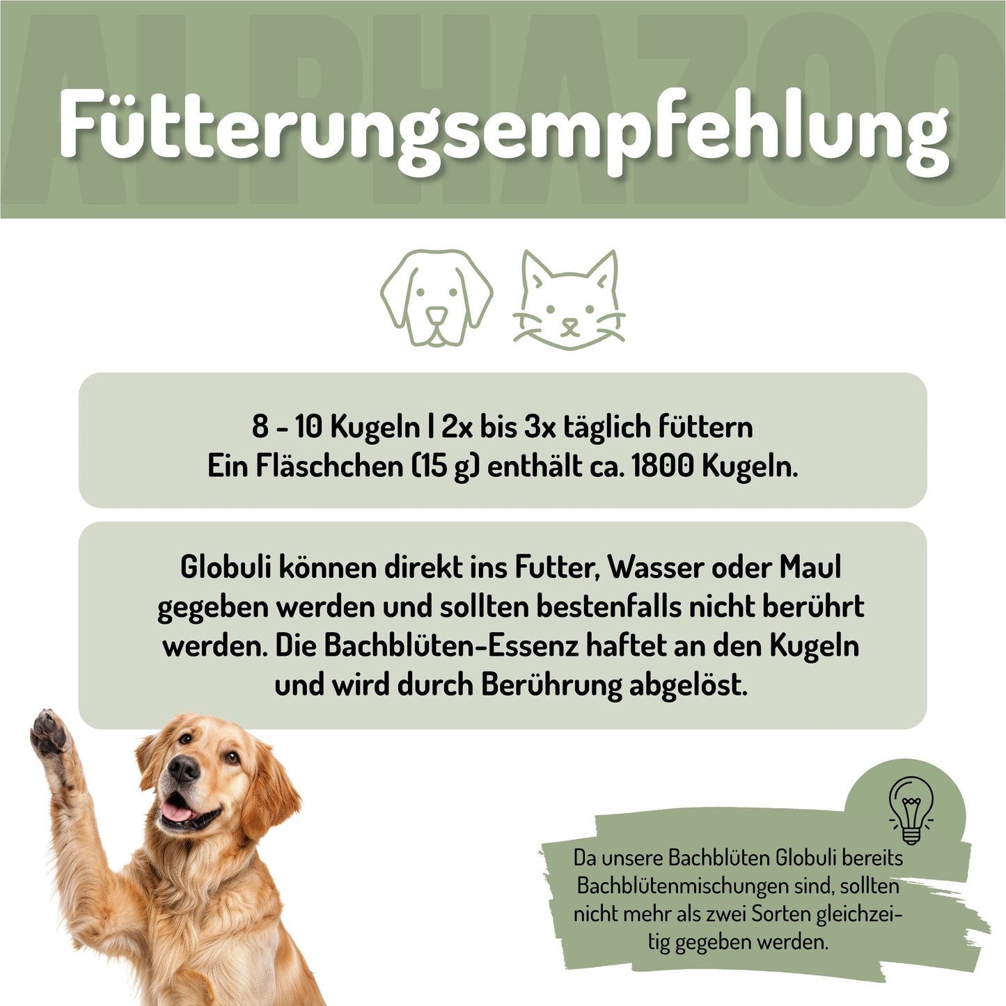 Wutbändiger Bachblüten für Katze - Natürliche Unterstützung für mehr Gelassenheit (Kopie)