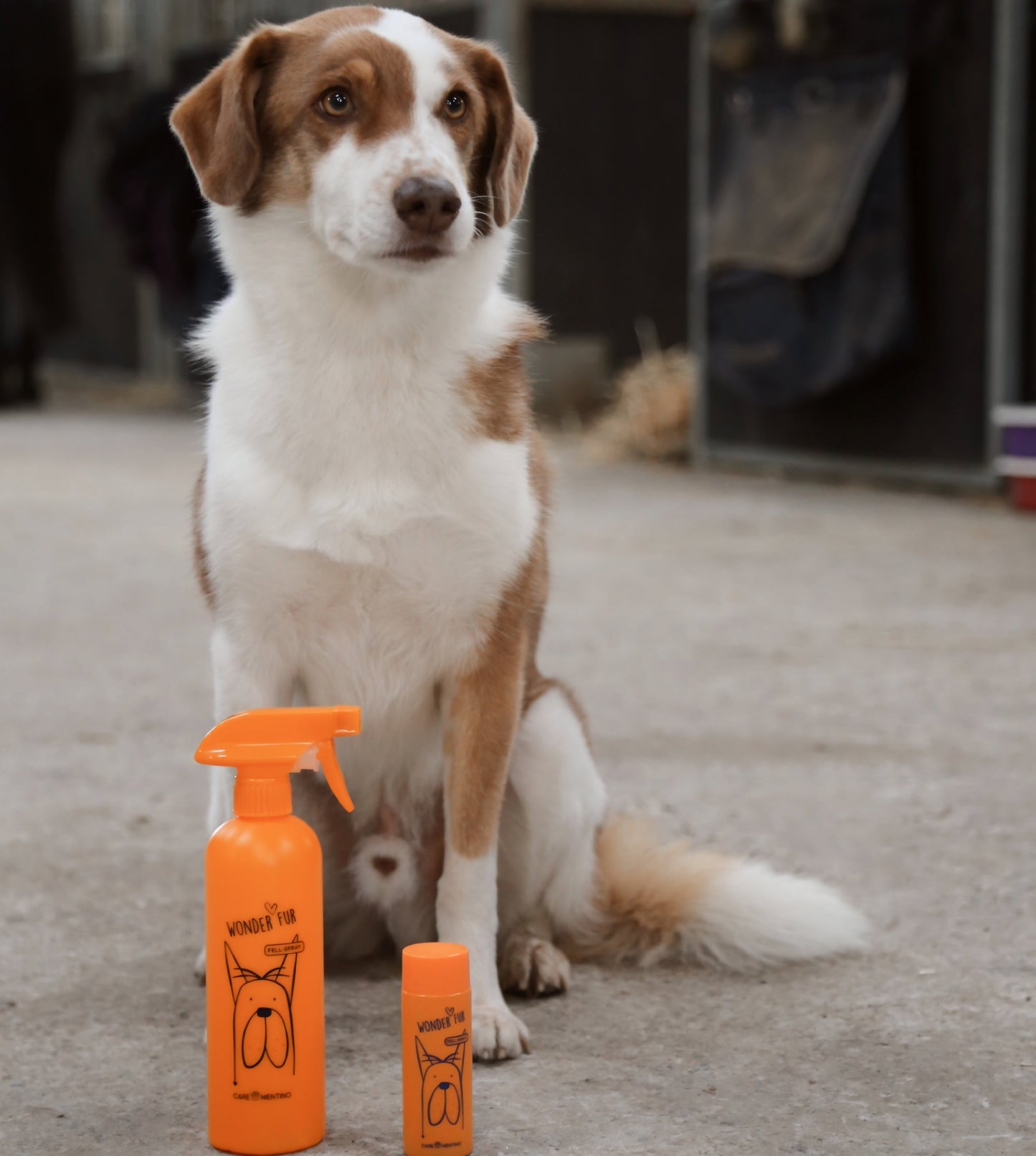 Fellspray für Hunde „Wonder Fur“ – bessere Kämmbarkeit & natürliche Pflege, Natürliches Hundefellspray