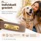 Wunderschönes Reflektions Hundehalsband mit Gravur - personalisiert