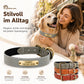 Wunderschönes Reflektions Hundehalsband mit Gravur - personalisiert