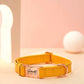 Veganes Hundehalsband mit Gravur - personalisiert