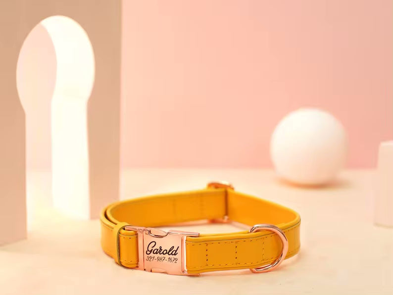 Veganes Hundehalsband mit Gravur - personalisiert