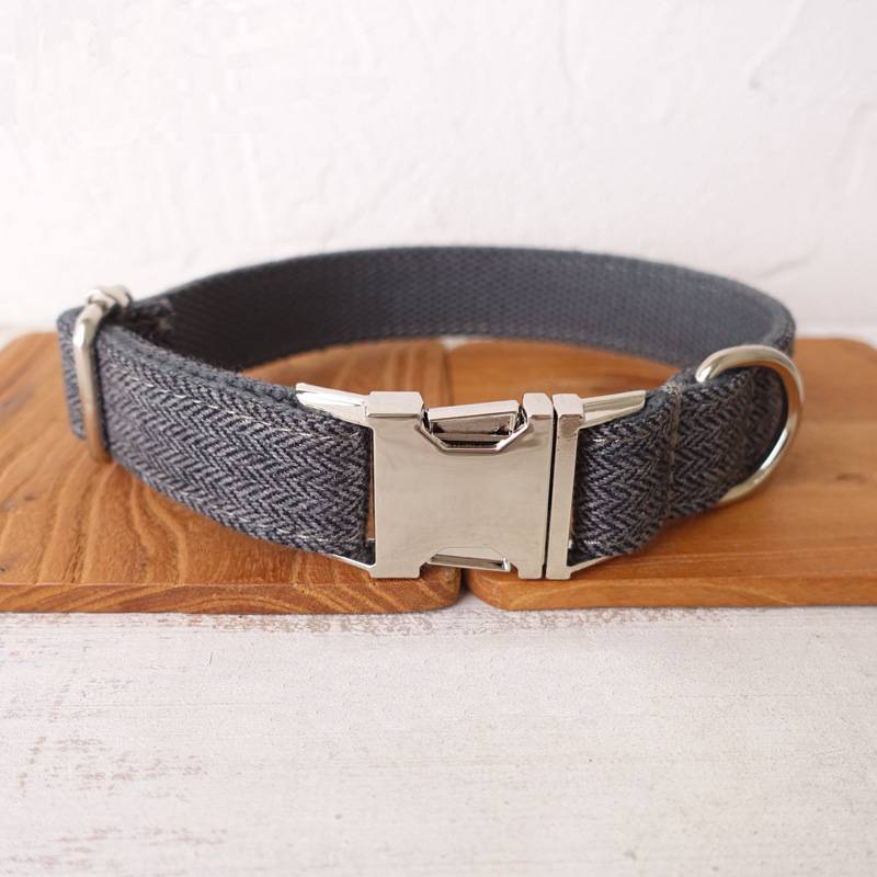 Praktisches Hundehalsband personalisiert mit liebevoller Gravur für mehr Identifikation.