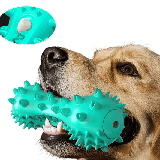 DENTAL KAUKNOCHEN Hunde - Spielendes Hund, der mit einem blauen, stacheligen Kauknochen spielt.