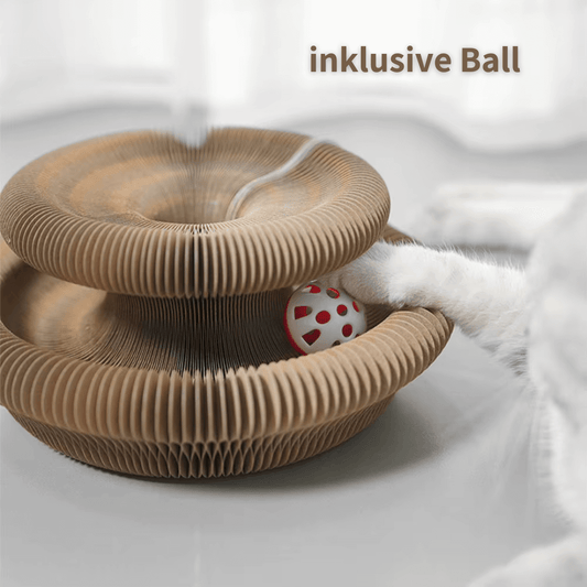 KATZEN GLÜCK Kratztunnel - Magischer Kratztunnel, der Möbel schützt und Katzen stundenlange Beschäftigung bietet.