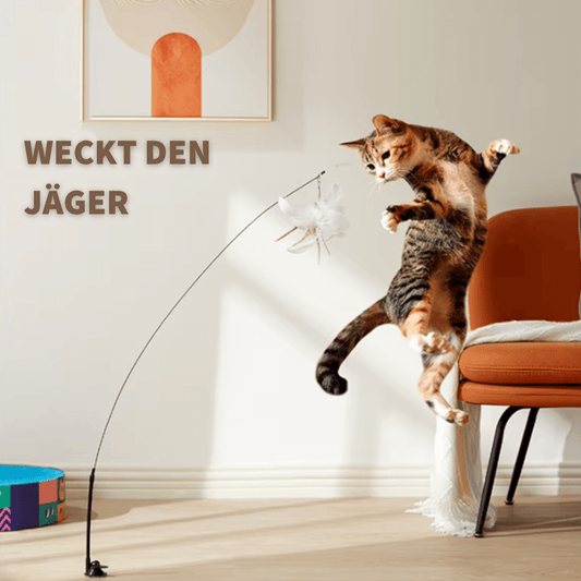 KATZEN ABENTEUER - interaktives Katzenspielzeug für aktiven Spielspaß und Fitness für Katzen.