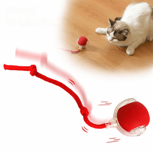 Pfoten FIT - Spaß und Fitness auch wenn Du nicht da bist: Spielball für die Katze, animierter Spielzeug zum Fördern der Bewegung und Aktivität.