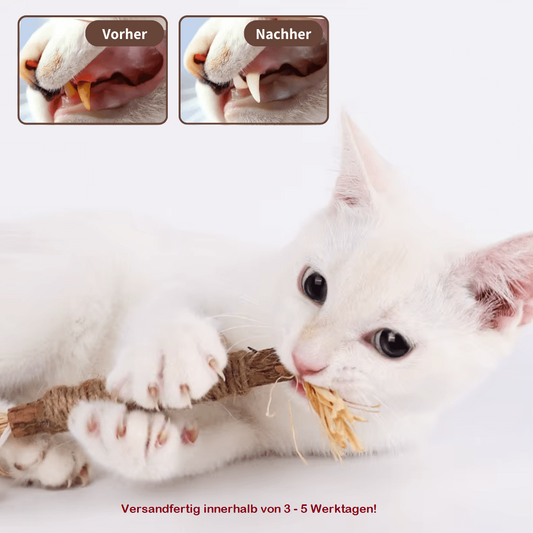 ZAHNLIEBE - Die Katzen Zahnbürste für gesunde Zähne