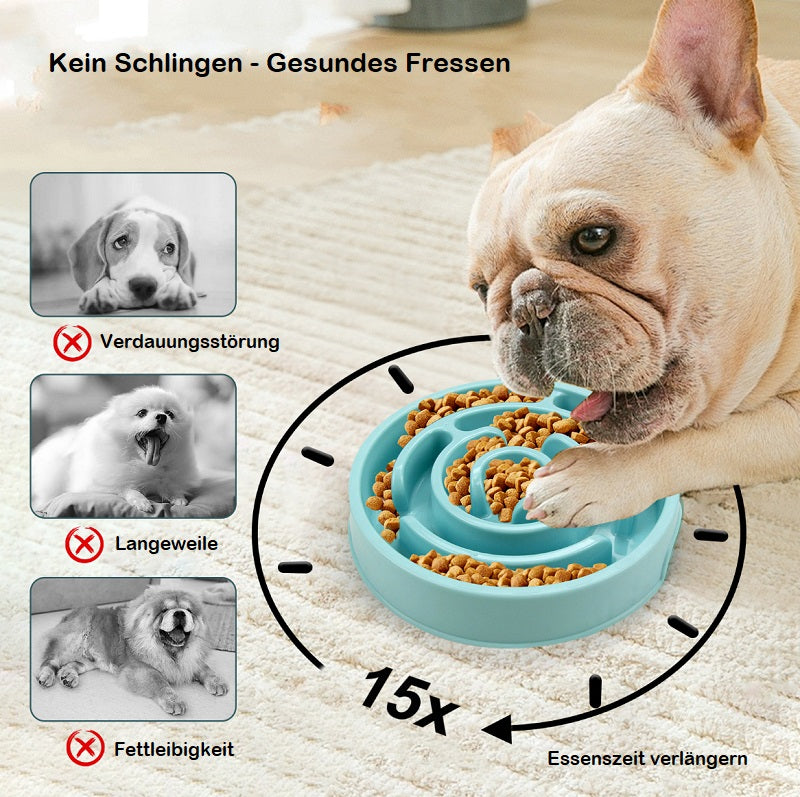 Ein Hund, der aus dem Anti Schling Napf Hund klein frisst - gesundes Fressen ohne Schlingen. Das Bild zeigt, wie der Napf Verdauungsstörungen und Langeweile vermeiden kann.