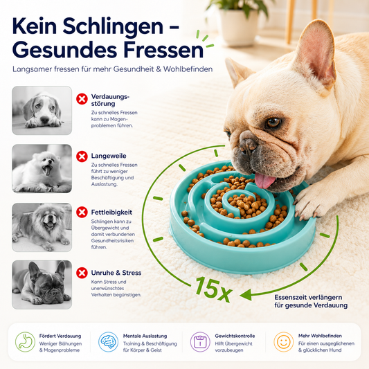 Anti-Schling-Napf Hund klein – Napf für langsameres Fressen